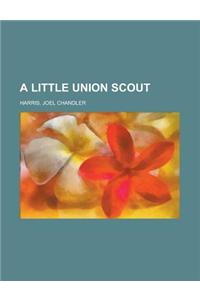 A Little Union Scout