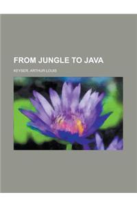 From Jungle to Java