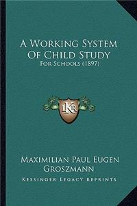 Working System of Child Study