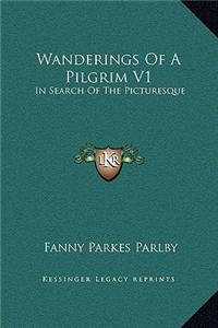 Wanderings of a Pilgrim V1