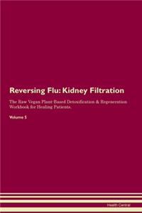 Reversing Flu: Kidney Filtration The Raw Vegan Plant-Based Detoxification & Regeneration Workbook for Healing Patients. Volume 5