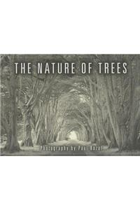 The Nature of Trees Boxed Notes