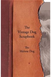 Vintage Dog Scrapbook - The Maltese