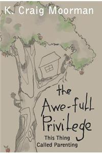 Awe-Full Privilege