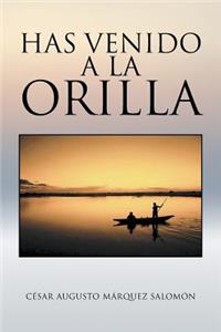 Has venido a la orilla
