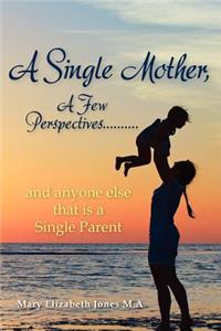 Single Mother, A Few Perspectives......And anyone else that is a Single Parent