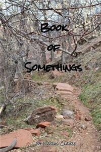 Book of Somethings