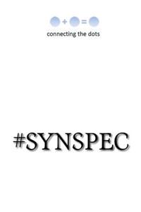#Synspec: XXI Century Expert Team Building and Management