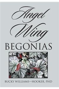 Angel Wing Begonias