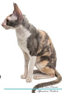Cornish Rex Affirmations Workbook Cornish Rex Presents