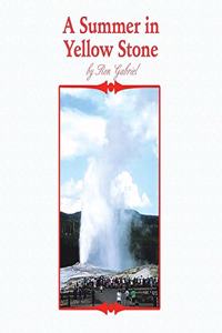 Summer in Yellowstone