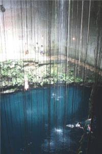 Cenote Zaci Mexico Valladolad Yucatan Sinkhole Journal