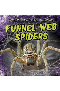 Funnel-Web Spiders