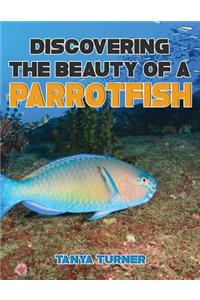 DISCOVERING THE BEAUTY OF A PARROTFISH Do Your Kids Know This?