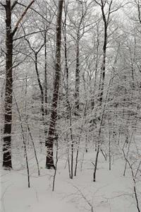 Overcast Winter Afternoon Journal