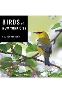 Birds of New York City