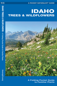 Idaho Trees & Wildflowers