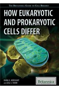 How Eukaryotic and Prokaryotic Cells Differ