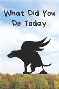 What Did You Do Today