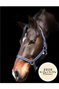 2020 Weekly And Monthly Planner
