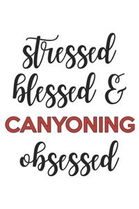 Stressed Blessed and Canyoning Obsessed Canyoning Lover Canyoning Obsessed Notebook A beautiful