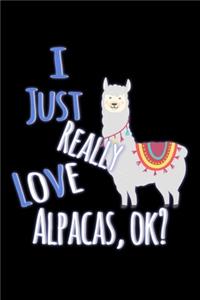 I Just Really Love Alpacas, OK?