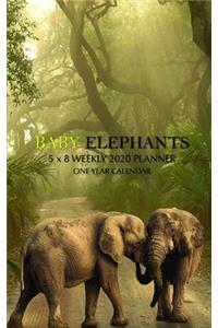 Baby Elephants 5 x 8 Weekly 2020 Planner: One Year Calendar