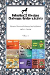 Dalmatian 20 Milestone Challenges