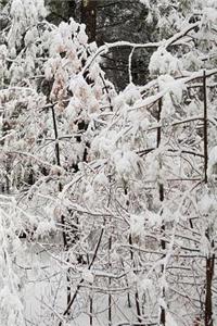 2019 Weekly Planner Winter Season Nature Photo 134 Pages