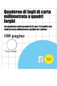 Quaderno di fogli di carta millimetrata a quadri larghi