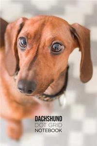 Dachshund Dot Grid Notebook: Blank Dotted Grid Dachshund Dog Journal: Lovely Brown Dog