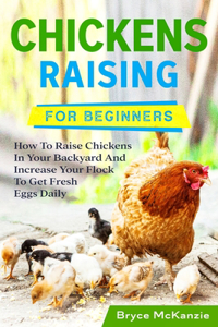 Chickens Raising For Beginners