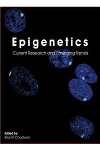 Epigenetics