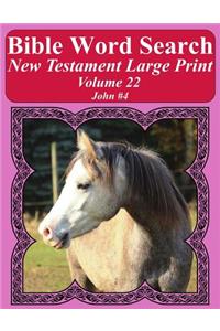 Bible Word Search New Testament Large Print Volume 22