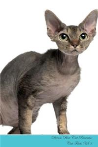 Devon Rex Cat Presents
