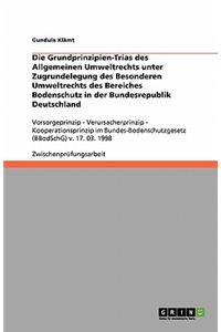 Die Grundprinzipien-Trias des Allgemeinen Umweltrechts unter Zugrundelegung des Besonderen Umweltrechts des Bereiches Bodenschutz in der Bundesrepublik Deutschland