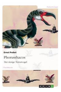 Phorusrhacos: Der riesige Terrorvogel