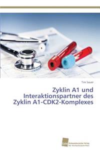 Zyklin A1 und Interaktionspartner des Zyklin A1-CDK2-Komplexes