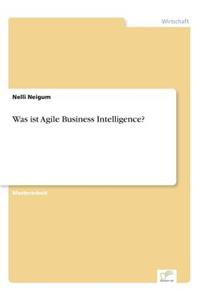 Was ist Agile Business Intelligence?