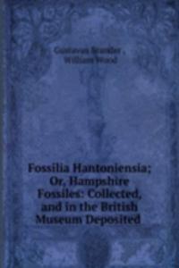 Fossilia Hantoniensia; Or, Hampshire Fossiles: Collected, and in the British Museum Deposited .