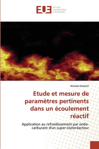 Etude et mesure de paramètres pertinents dans un écoulement réactif