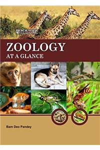 Zoology At A Glance