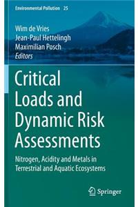 Critical Loads and Dynamic Risk Assessments