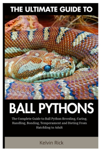 Ultimate Guide To Ball Pythons