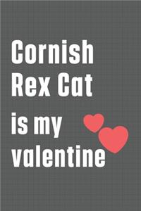 Cornish Rex Cat is my valentine
