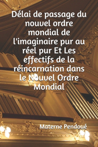 Délai de passage du nouvel ordre mondial de l'imaginaire pur au réel pur Et Les effectifs de la réincarnation dans le Nouvel Ordre Mondial