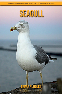 Seagull