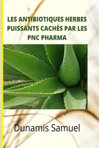 Les Antibiotiques Herbes Puissants Cachés Par Les Pnc Pharma