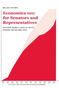 Economics 101 for Senators and Representatives