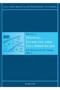 Sensing, Signaling and Cell Adaptation